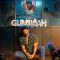 Gumraah  Hindi Full Movie  | Aditya Roy Kapur |  Mrunal Thakur | Ronit Roy